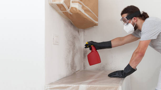 Professional Bathroom Mold Removal technician working in Jefferson, NC