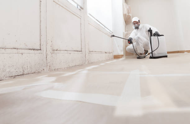 24/7 Emergency Bathroom Mold Removal experts in Jefferson, NC